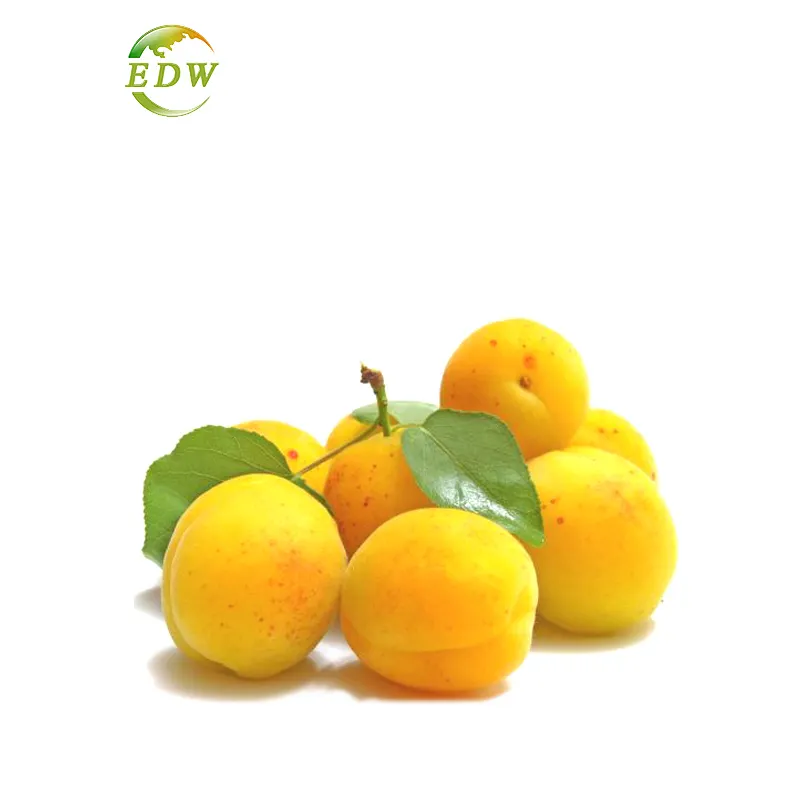 EDW Organic Food Additives Solid Extraction Spray Dried Extract Apricot Fruit Water Soluble Juice Powder