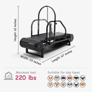 Lynpet Powerful Indoor &amp; Outdoor <strong>Dog</strong> <strong>Treadmill</strong> Walking Machine Wholesale Big Pet <strong>Slatmill</strong>; Pet Training Supplies - Product Image 2