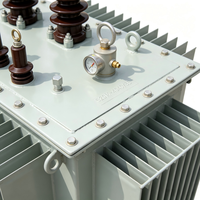 Transformateur de puissance triphasé S20 4000 kVA 35 kV 50 Hz ONAN immergé dans l'huile