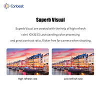 Canbest P2.6 P2.9 P3.9 500X1000mm Location Extérieure Led Affichage Concert Scène P3.91 Led Vidéo Mur Panneau Pantalla Led Extérieur