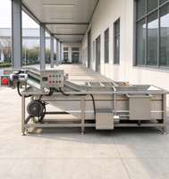 Machine à laver les légumes entièrement automatique en acier inoxydable SUS304, idéale pour laver les tomates, les pommes de terre et les légumes à feuilles.