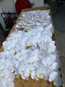 Orchidées artificielles Phalaenopsis blanches et roses, couleur chair, à tige unique, toucher réel, pour décoration de mariage, vente en gros - Product Image 4