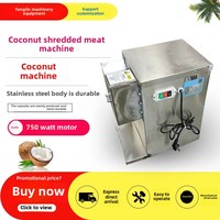Hoge Efficiëntie 220V 750W Elektrische Kokosnootverwerkingsmachine Gespecialiseerde Kokosnootrasp voor het raspen van vlees, fruit en groenten
