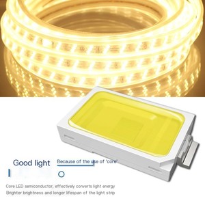 High Quality Outdoor Waterproof Highlight Copper Core AC 220V SMD2835 Smart <strong>Light</strong> <strong>Cords</strong> <strong>for</strong> Decorative Lighting LED Strip <strong>Light</strong> - Product Image 5