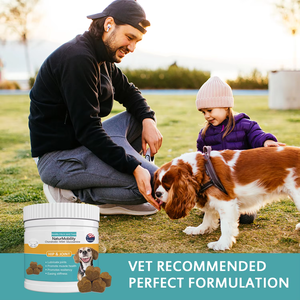 Natural Mobility Hip & Joint Chews pour chiens-avec glucosamine, chondroïtine et MSM-Réduit la raideur et favorise la santé musculaire - Product Image 6