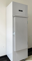 Réfrigérateur-congélateur extérieur 200L à porte pleine, distributeur de glace en sacs, bac de stockage de glace, conteneur de glace