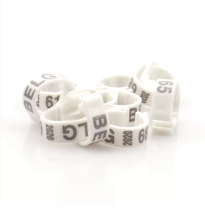 Kleurrijke Open Plastic Clip Duif Vogel Duif <span class=keywords><strong>Pha</strong></span> Ringen Voor Tortelduifjes Duif - Product Image 2