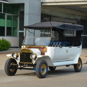 Nuevo Carro Eléctrico de Lujo de 8 Plazas para Turismo en la Playa, Estilo Clásico Vintage - Product Image 1
