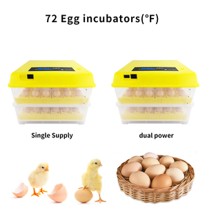 Incubateur solaire pour œufs <span class=keywords><strong>de</strong></span> poulet à <span class=keywords><strong>prix</strong></span> abordable, fabriqué en Chine, machine à couver les œufs <span class=keywords><strong>de</strong></span> haute qualité - Product Image 3