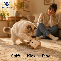 Jouet en peluche pour chat en forme de pain grillé avec herbe à chat, carré, doux, interactif, pour câliner et stimuler, accessoires pour chat, vente en gros