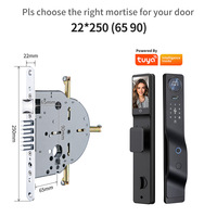 Fabrieksprijs Smart Lock Tuya Wifi Video Call Intercom Functie Digitaal Toetsenbord Elektronisch Deurslot Smartcard Sleutels 6085