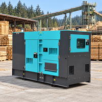 Groupe électrogène diesel silencieux 60 kVA 40 kW 50 kW 60 kW 100 kVA 200 kVA insonorisé pour projets gouvernementaux