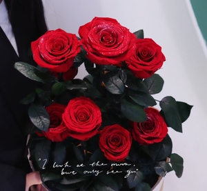 Bulk eternal forever infinity long lasting ever lasting flowers real enchanted preserved roses in clear acrylic round box