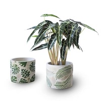 Pot cactus de balcon pour décoration moderne, pot succulent pour l'extérieur et l'intérieur, pour le jardinage, offre spéciale