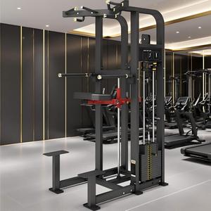 Direct From Source Gym-Specific Dip Chin Assist Cadre en alliage d'acier épaissi avec pédales antidérapantes pour la construction du haut du corps serré - Product Image 4