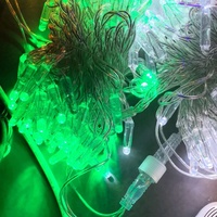 Guirlandes lumineuses LED en PVC imperméables IP65 pour usage extérieur, Ra80, blanc chaud, à intensité variable, décoration paysagère, Diwali, Inde, Noël, Ramadan, Eid