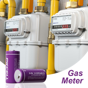 Chất Lượng Cao Er34615 3.6 V 19ah Kích Thước D Pin Lithium - Product Image 4