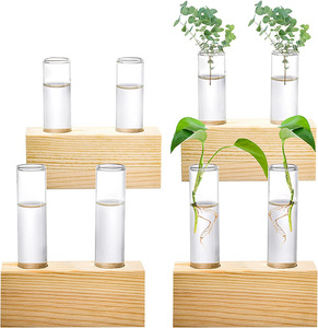 Wholesale Crystal Plant Terrarium With Wooden <b>Stand</b> Propagation Stations Plants Tabletop Glass for Hydroponic - Product Image 4