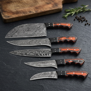 Juego de Cuchillos de Cocina de Acero de Damasco de Alta Calidad, 67 Capas, 5 Piezas, Mango de Madera, Hoja Recta, Cuchillos de Chef con Hoja Pulida, Ambidiestros - Product Image 4