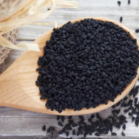 Gummies d'huile de nigelle sans sucre en marque blanche, saveur fruitée en forme d'ours, avec vitamines D et E, soutien immunitaire naturel, OEM