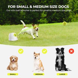 Jouets interactifs pour chiens et chats In the Trend : Lanceur de balles automatique, jouet papillon à activation par mouvement, plume en caoutchouc, labyrinthe à friandises CE - Product Image 5