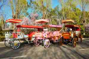 รถม้าไฟฟ้าคุณภาพสูงสำหรับงานแต่งงาน รถม้าเจ้าหญิงสุดหรูแบบสั่งทำพิเศษ 4 ล้อ สำหรับการท่องเที่ยวชมวิว - Product Image 4