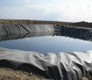 Bâche pour bassin de 6000 pieds carrés pour la culture de tilapias - Product Image 5