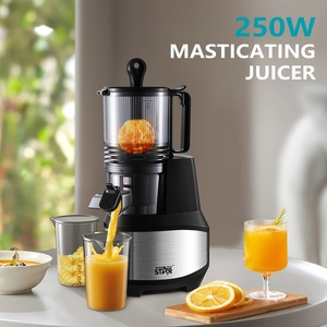 Extracteur de jus Winningstar 250W en acier inoxydable, à mastication, avec séparation de la pulpe, pour usage domestique - Product Image 2