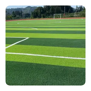 Terrain de football professionnel gazon artificiel terrains de football école commerciale aire de jeux