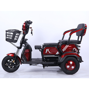 Triciclo Eléctrico Motorizado <span class=keywords><strong>de</strong></span> 3 Ruedas <span class=keywords><strong>para</strong></span> <span class=keywords><strong>Adultos</strong></span>, Tipo Carrocería Abierta, 48V 60V 600W, Venta al Por Mayor <span class=keywords><strong>de</strong></span> Fábrica 2025 - Product Image 1