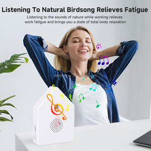 Carillon Moderno Yun con Suoni di Uccelli, Rumore Bianco, Canto di Uccelli per Interni/Esterni, Casa per Amanti degli Uccelli in Plastica e Legno con Pulsante - Product Image 3