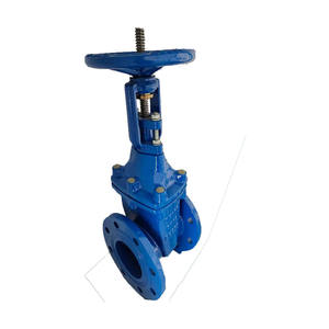 Vanne à opercule en fonte ductile VEYRON, norme DIN 3352 BS, DN100 PN16, matériau DI, tige non élévatrice, siège souple, pour l'eau - Product Image 3
