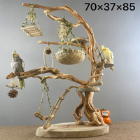 Support d'arbre et échelle en bois massif pour perroquet, perchoir, objet décoratif, jouets à mâcher, jouets pour l'usure du bec, stimulation mentale, jeu en cage intérieure - Vente en gros