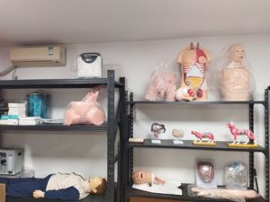 HC-S235 con người mô hình giảng dạy hệ thống tuần hoàn máu Mô hình giải phẫu Mô hình hệ thống thần kinh tự trị - Product Image 2