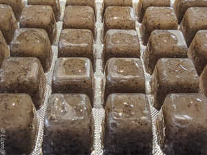 Mysis Congelato <span class=keywords><strong>per</strong></span> <span class=keywords><strong>Pesci</strong></span> Domestici, Cibo di Alta Qualità <span class=keywords><strong>per</strong></span> Animali - Product Image 5