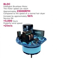 Sèche-cheveux professionnel FirePhoenix 3000 MAX PRO 23000RPM sans balais 3000W séchage rapide pour hôtel et usage domestique avec bouton Turbo Boost