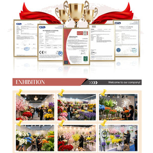 Flor de Lirio de <span class=keywords><strong>Seda</strong></span> Artificial de 3 Cabezas, Decoración de Simulación para Bodas, Salón, Hogar, Sala de Estar, Accesorios para Fotografía, Venta al por Mayor de Fábrica China - Product Image 5