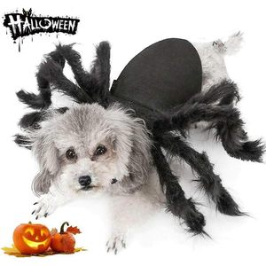 Costume d'araignée pour petits chiens et chats, déguisement de fête d'Halloween, fausse fourrure noire, vêtements pour animaux de compagnie de taille moyenne - Product Image 1