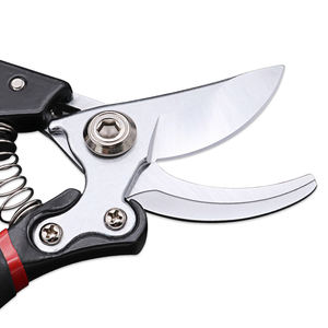 Садовые ножницы из нержавеющей стали для винограда, обрезка фруктовых деревьев, обрезка растений, обрезка ножниц - Product Image 4