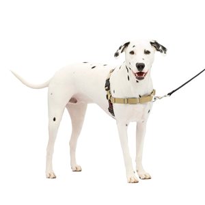 <span class=keywords><strong>Harnais</strong></span> pour chien <span class=keywords><strong>PetSafe</strong></span> pour promenade facile <span class=keywords><strong>Harnais</strong></span> Oxford en nylon réfléchissant réglable pour chiens de taille moyenne <span class=keywords><strong>Harnais</strong></span> pour chien sans <span class=keywords><strong>traction</strong></span> Riv - Product Image 3