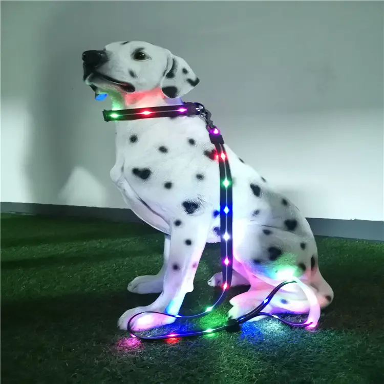 Wholesale dog leash led/ Pet Collar Flashing LED Lighted Dog lead, Dog Harness/Pet Leashes
