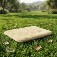 Tapis pour animaux de compagnie en peau de mouton, ultra doux, en laine naturelle, teinture naturelle, respectueux de l'environnement, pour chiens et chats