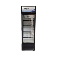 Réfrigérateur commercial de comptoir 330L pour bières et boissons, avec étagères réglables