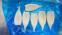 Tubes de calmar sans peau géants congelés de haute qualité pour la nouvelle saison-Disponible en tailles U3, U5, U7, U10