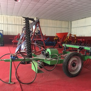 Falciatrice a Doppio Disco per Agricoltura e Pascoli con Trasmissione Offset e <span class=keywords><strong>Rastrello</strong></span> - Product Image 6