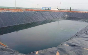Geomembrane Industriali per Laghetti di Pesci da 0,25mm, 0,3mm, 0,5mm, 0,75mm, 1mm, per Discariche e Vasche di Allevamento Ittico, Membrana Impermeabile in HDPE - Product Image 2