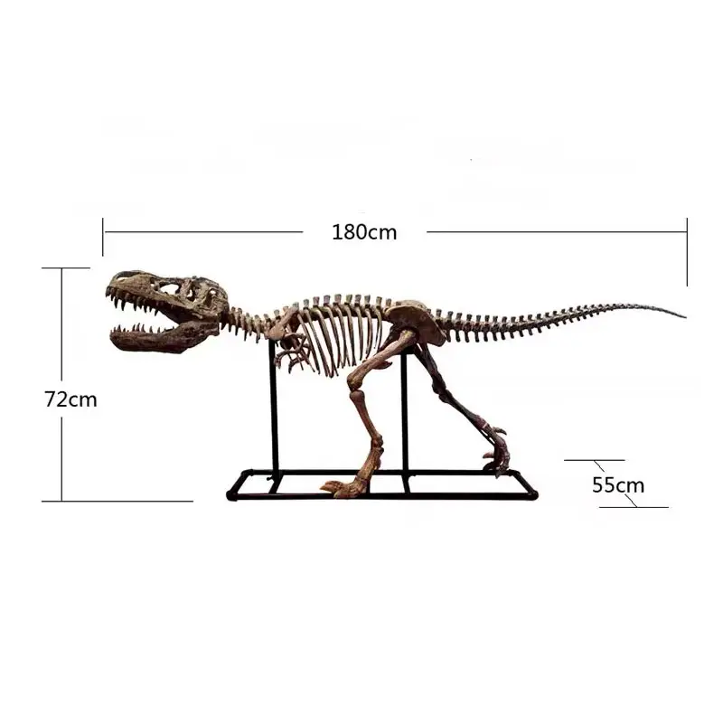 Neuzugang benutzerdefinierte Darstellung Dekoration Harz Fiberglas 1,8 m simuliertes Dinosaurier-Skelett-Modell
