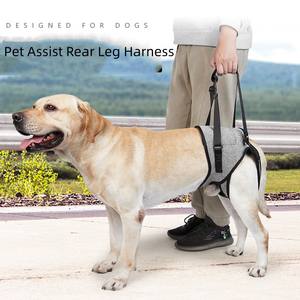 Perlengkapan hewan peliharaan aksesoris cedera sendi orang tua dan Arthritis membantu anjing penopang <span class=keywords><strong>Harness</strong></span> anjing Lift <span class=keywords><strong>Harness</strong></span> kembali kaki hewan peliharaan <span class=keywords><strong>Harness</strong></span> - Product Image 1