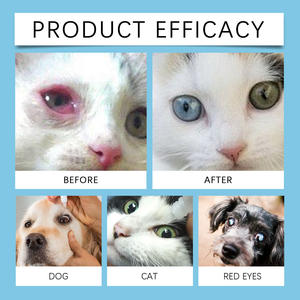 <span class=keywords><strong>Gotas</strong></span> Oftálmicas <span class=keywords><strong>para</strong></span> Mascotas que Mejoran la <span class=keywords><strong>Visión</strong></span> con Ingredientes Suaves y Nutritivos que Fortalecen las Células y Tejidos Oculares - Product Image 6