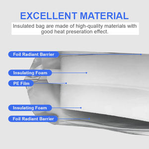 Bolsas de Envío Refrigerantes con Protección Térmica para Productos Farmacéuticos, <span class=keywords><strong>Sobres</strong></span> Aislantes Metálicos Autoexpandibles - Product Image 4
